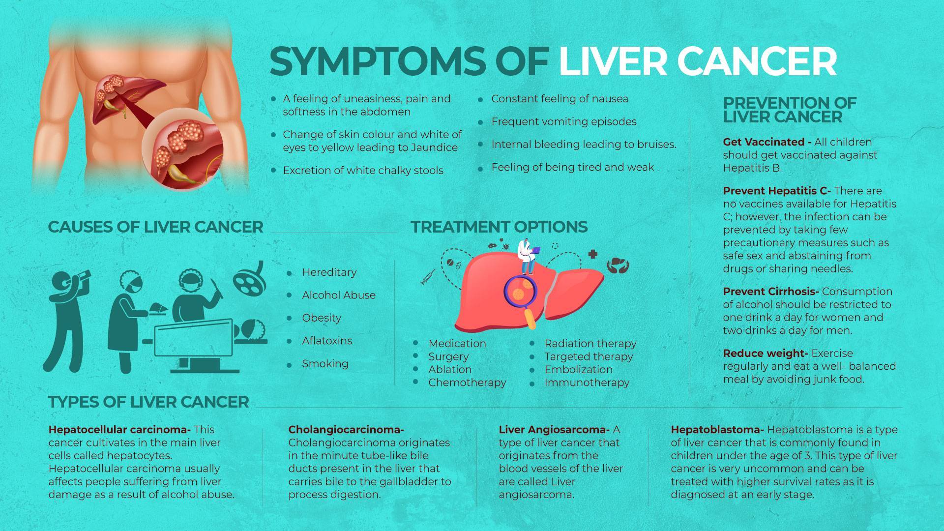 Liver Cancer Infographics Liver Cancer 0 