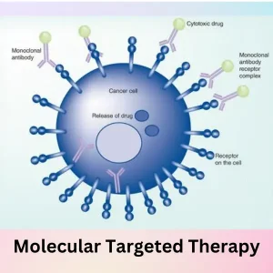Molecular targeted Therapy