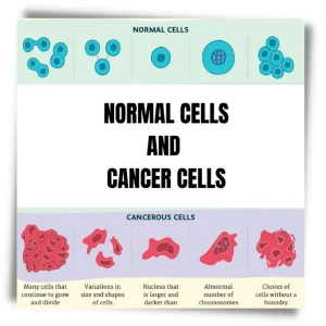 Difference between normal cells and cancer cells