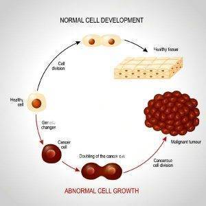 cancer cell development vs normal cell