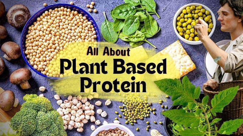 All About Plant based Protein
