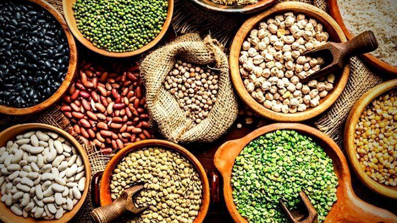 Different kinds of Legumes