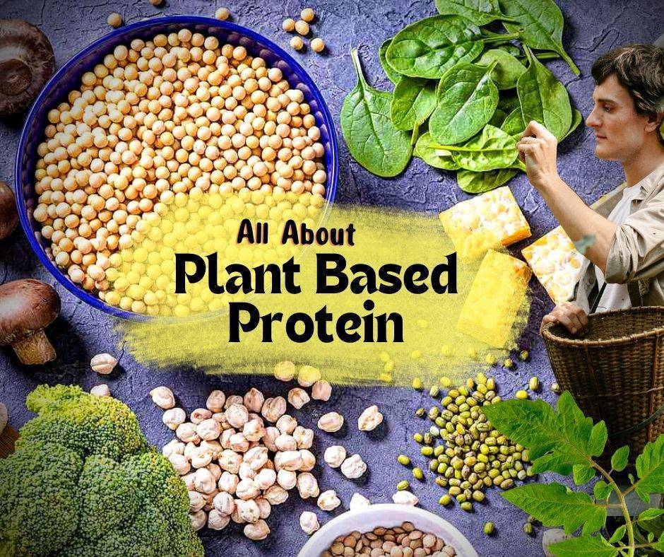 all-about-plant-based-protein