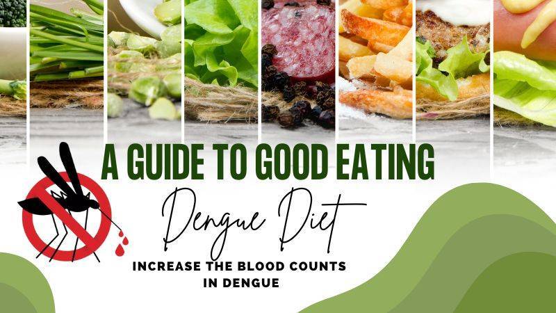 A guide to good eating: Dengue Diet