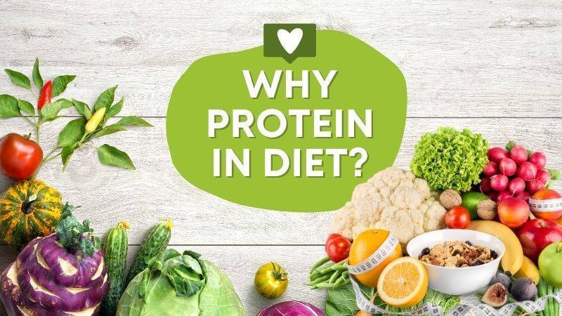 Why protein rich food is required?