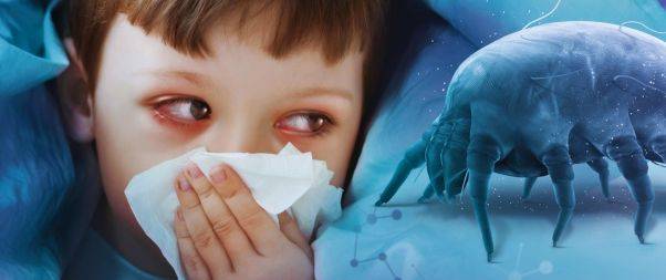 causes of dust allergy