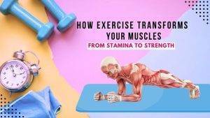 How Exercise Transforms your Muscles