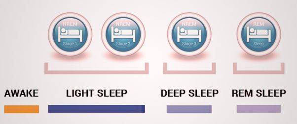 Normal Sleep patterns