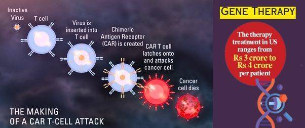 The making of CAR-T cell attack