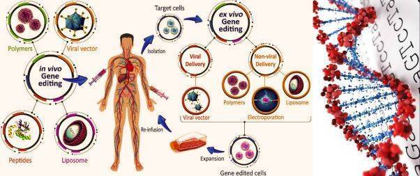 Ways of using Gene Therapy for Cancer Treatment