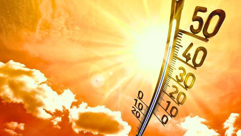 Coping with Extreme heatwaves in India