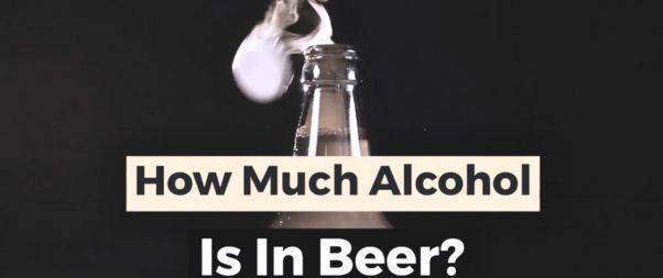 How much Alcohol is in Beer