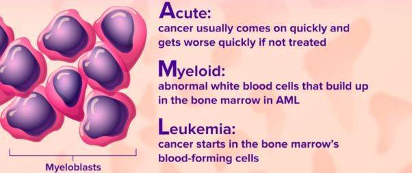 What is Acute Myeloid Leukemia(AML)?
